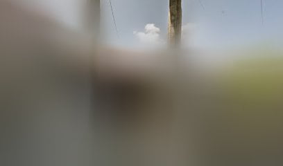Clinica del Surfoto 