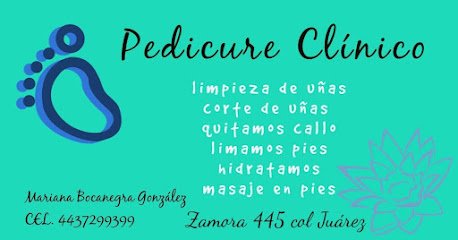 Pies Suavesfoto