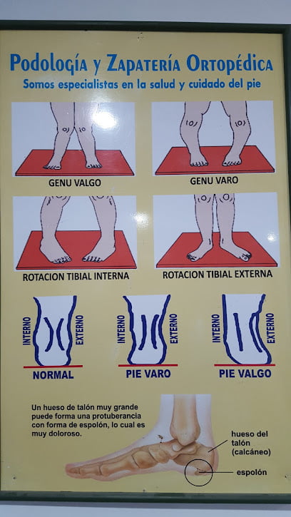 ANDAR BIENfoto