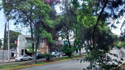 Clínica Podológica Moreliafoto 